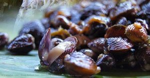 Rendang Minang Legacy To The World — Reno Andam Suri
