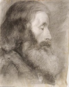 Study Head, Bearded Man — John Ottis Adams