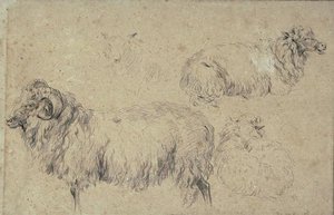 Studies Of Rams, Goats And Sheep — Nicolaes Pietersz Berchem