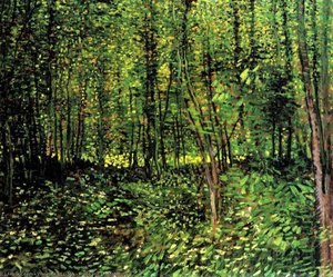 Trees And Undergrowth 2 — Vincent Willem Van Gogh, Post-impressionism