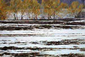 Untitled (629) — Robert Bateman