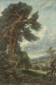 Landscape With Large Tree — George Sheffield Junior