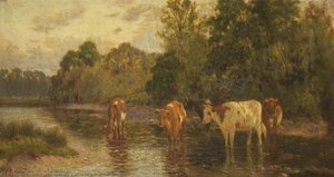 Cattle In A Shallow Stream — John Crane