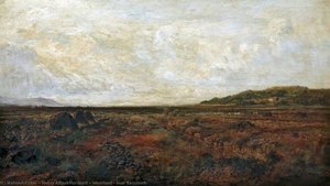 Moorland, near Barmouth