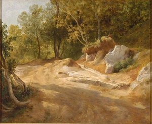 Rochers En Forêt — Jacques Raymond Brascassat