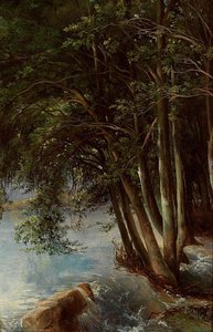 Trees at the Bank