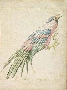 Squawking Bird With Talons Extended To The Right — Jean-baptiste Oudry