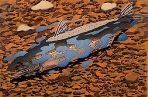 Redding Salmon — Neil Gavin Welliver