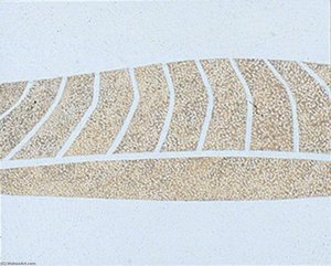 Ploughed Field — Stephen Chaplin