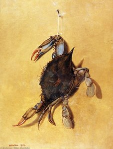 Crab — William Aiken Walker
