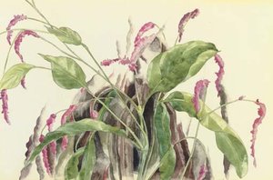 Kiss Me Over The Fence — Charles Demuth