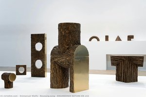 Engineered Nature En_ls2 — Emmanuel Wolfs & Boyoung Jung