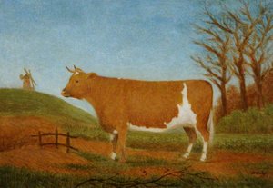 Guernsey Heifer