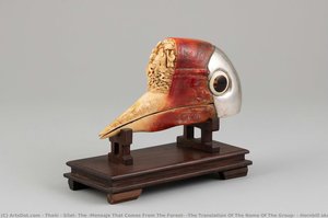 Hornbill skull