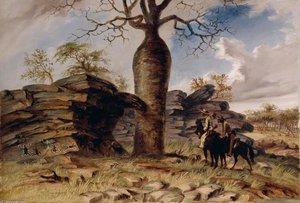 Figures Painted On Rocks And Carved On A Gouty Stem Tree — Thomas Baines