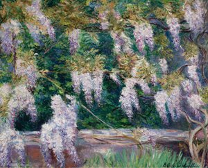 Wistarias At Giverny — Blanche Hoschedé-monet