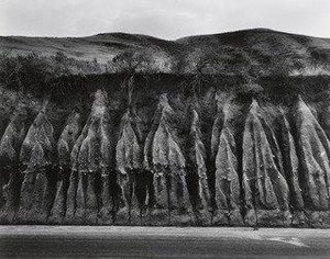 Erosion — Wynn Bullock