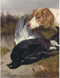 A Gundog With A Black Game
