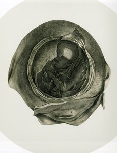 Untitled (211) — Frederick Sommer