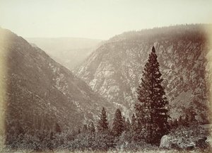 Untitled (aqtdkv) — Carleton Watkins