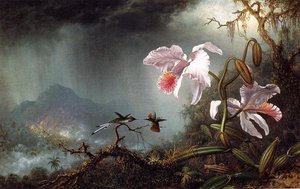 Two Fighting Hummingbirds With Two Orchids — Martin Johnson Heade
