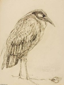 Heron — Bruce Moore