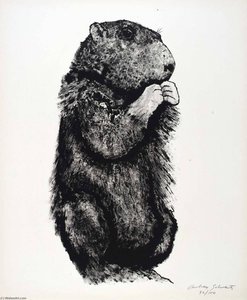 (A Bestiary, portfolio) Gopher