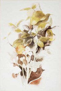 Orange Tree And Primrose — Charles Demuth