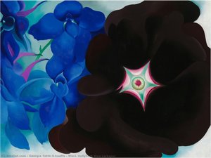 Black Hollyhock Blue Larkspur