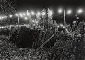 Atlanta, Georgia — Mark Steinmetz