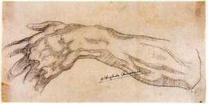 Left Arm — Hermen Anglada Camarasa