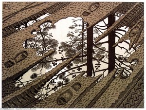 Puddle — Maurits Cornelis Escher
