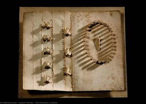 The Advocate's Library — Lenore Tawney