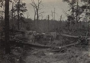 Battlefield of the New Hope Church, Georgia, No. 2 from the album Photographic Views of Sherman's Campaign
