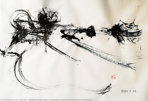 At The Kupa River (a Young Rooster Tail Feathers Drawing) — Alfred Freddy Krupa