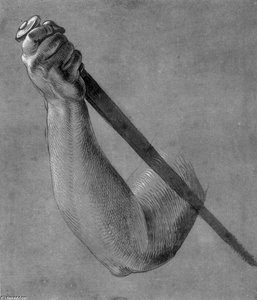 Arm Der Lucretia — Albrecht Dürer, Nordische Renaissance
