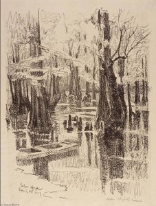 Cypress Swamp — Helen Hyde