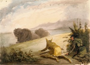 Approaching Buffalo Under The Disguise Of A Wolf — Alfred Jacob Miller, American West Painting