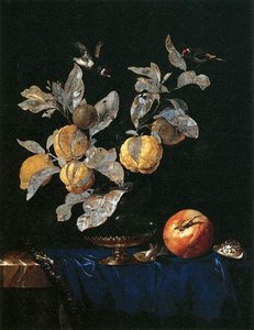 Still-life With Fruit — Willem Van Aelst