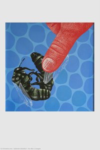 Un Dito A Maggio — Gabriele Amadori