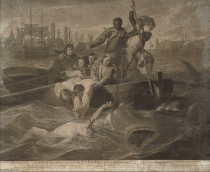 A Youth Rescued From A Shark