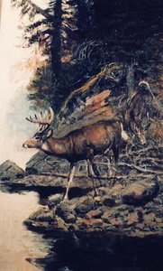 White Tails, (painting) — Charles Marion Russell
