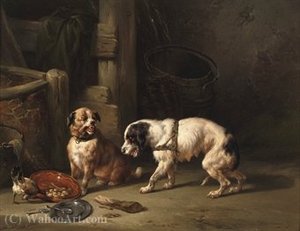 An unexpected guest