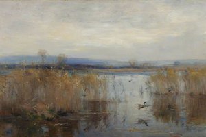 Reeds And Ducks — William Miller Frazer