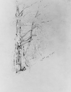 Dry Brook — Jervis Mcentee