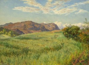 A Highland Oatfield