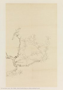 Bird Chattering On A Blossoming Peach — Xie Zhiliu