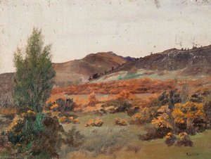 A Hillside At Callander — Robert Lillie