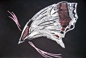 Butterfly — Piroska Szanto, Surrealism
