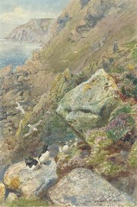On Lundy Island, Devon — Henry Moore